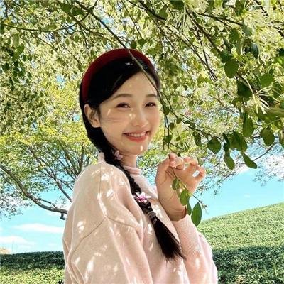 黛安娜的婚礼